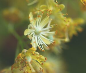 美容クリニックの志望動機が見つからないときの対策は？