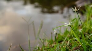 クリニックで効果的な自己PRの方法は？