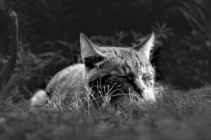 美容クリニックの看護師がシフトで休みを取得する方法は？