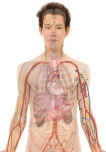 美容クリニックで未経験の看護師が受けられる教育体制は？