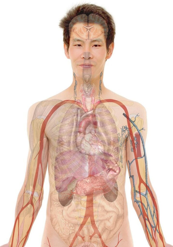 美容クリニックで未経験の看護師が受けられる教育体制は？