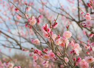 ICU看護師が美容クリニックへ転職する際のポイントは？